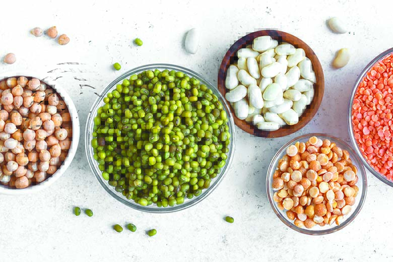 اصطلاحات جایگزین های چربی و تفاوت های آنها صنایع غذایی وینفو